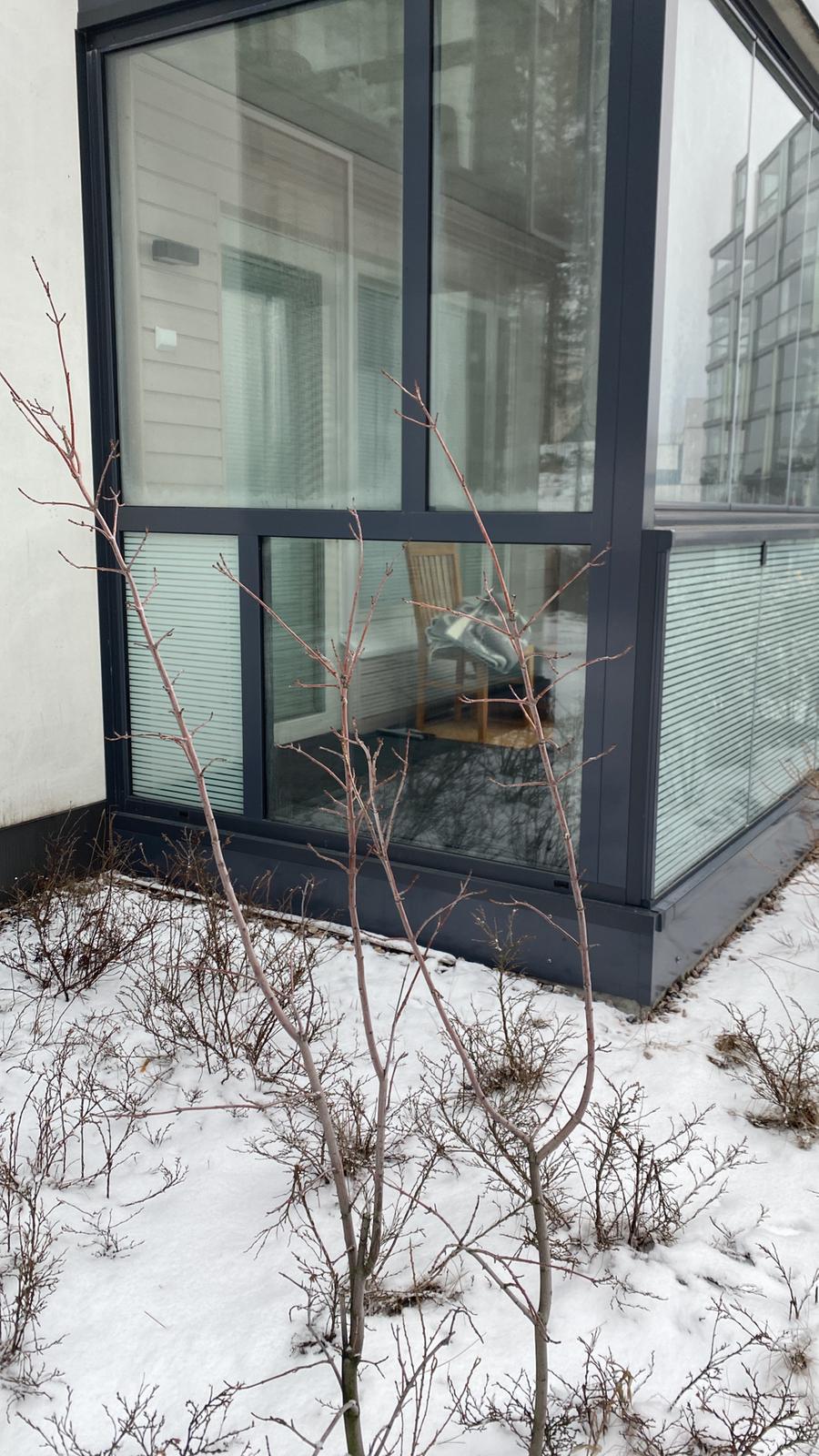 Näkösuoja parvekkeelle huurrekalvolla, raidoitettu huurrekalvo, yksi lasi ilman kalvoa ja kalvon kanssa